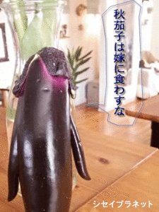 20151127.gif