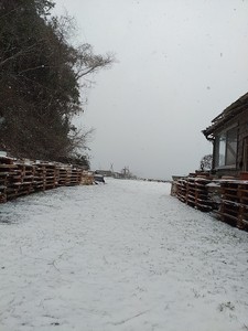 DSC_0758.jpg